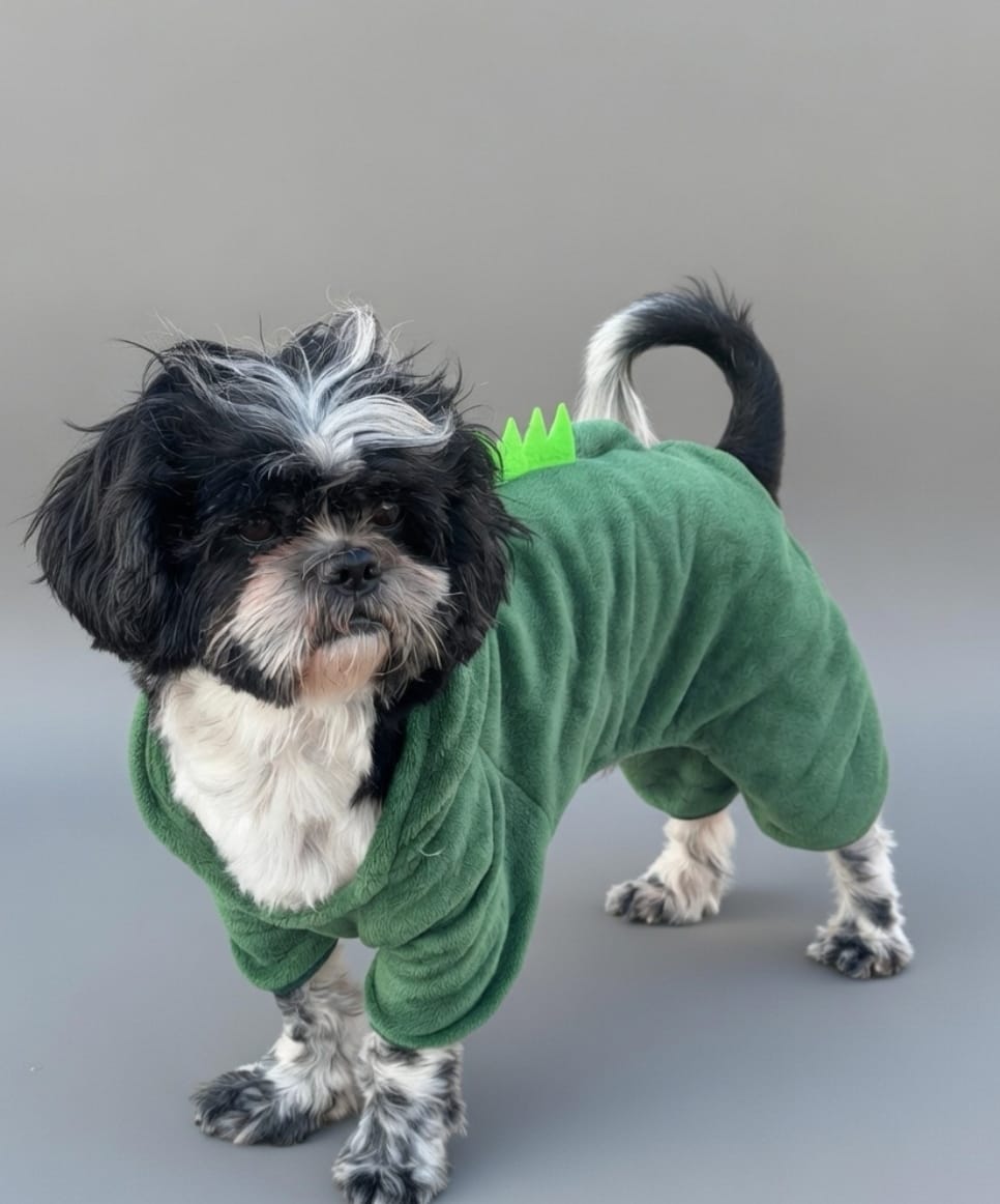 Dino Jumpsuit