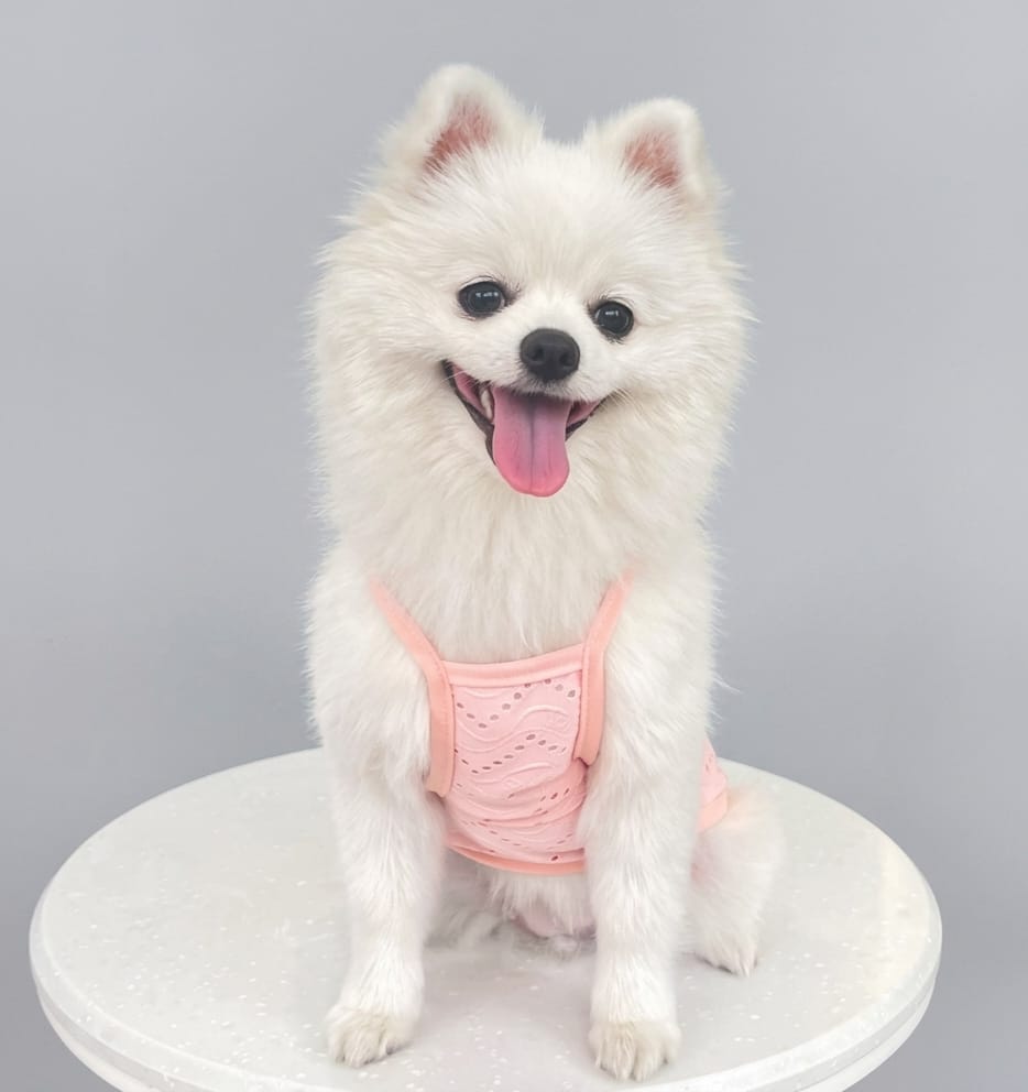 Blush Wave Tee
