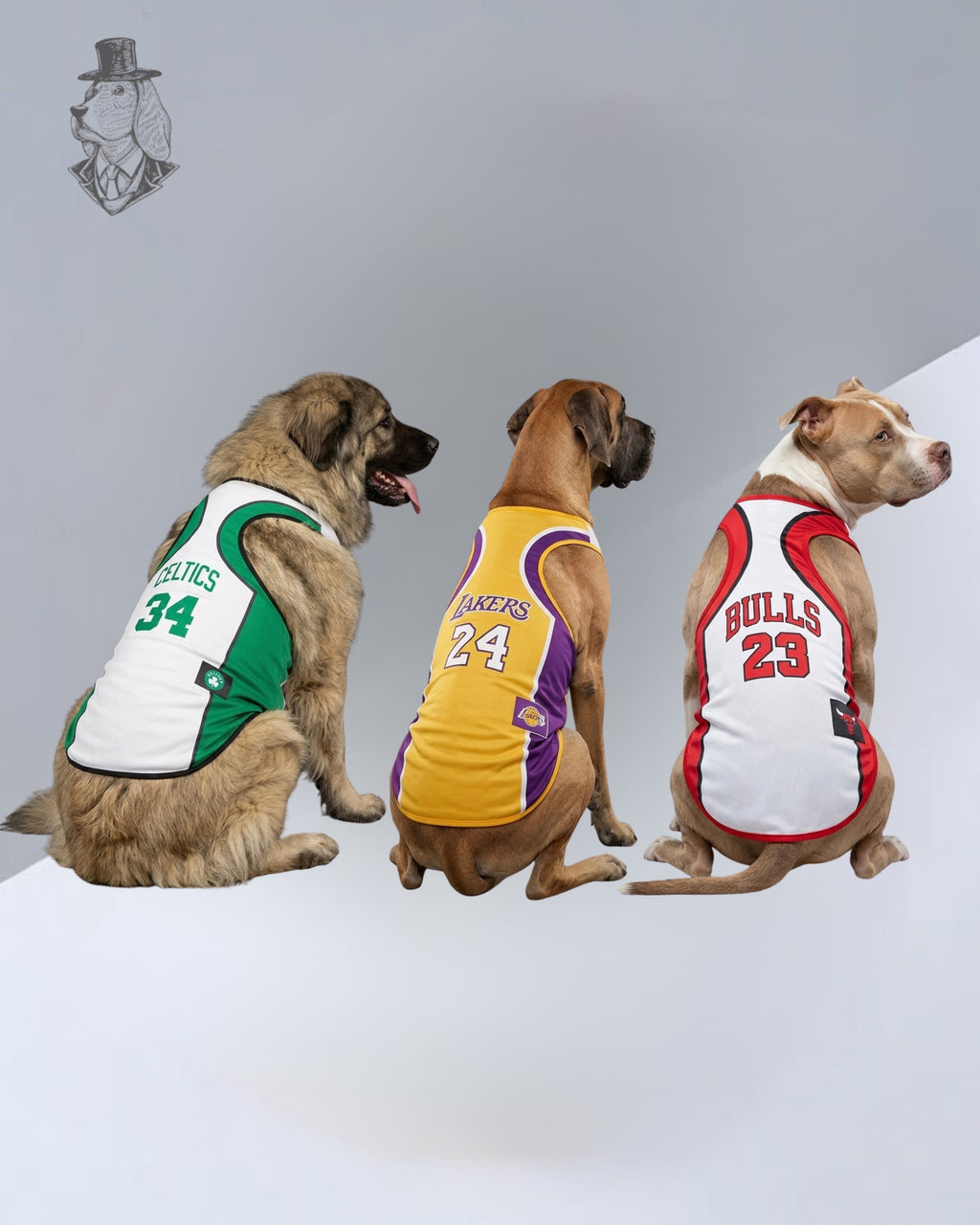 Basketball Line