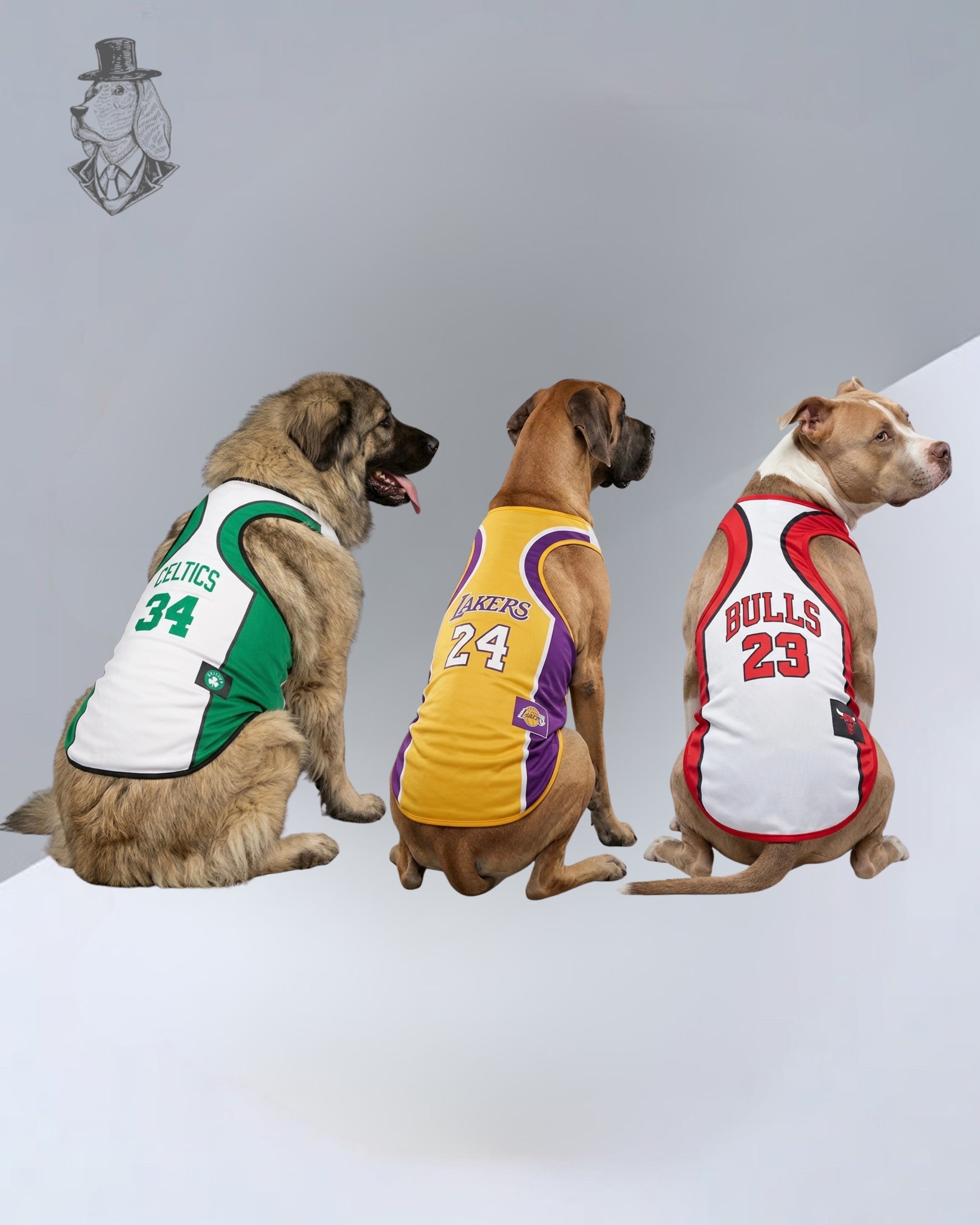 Basketball Line