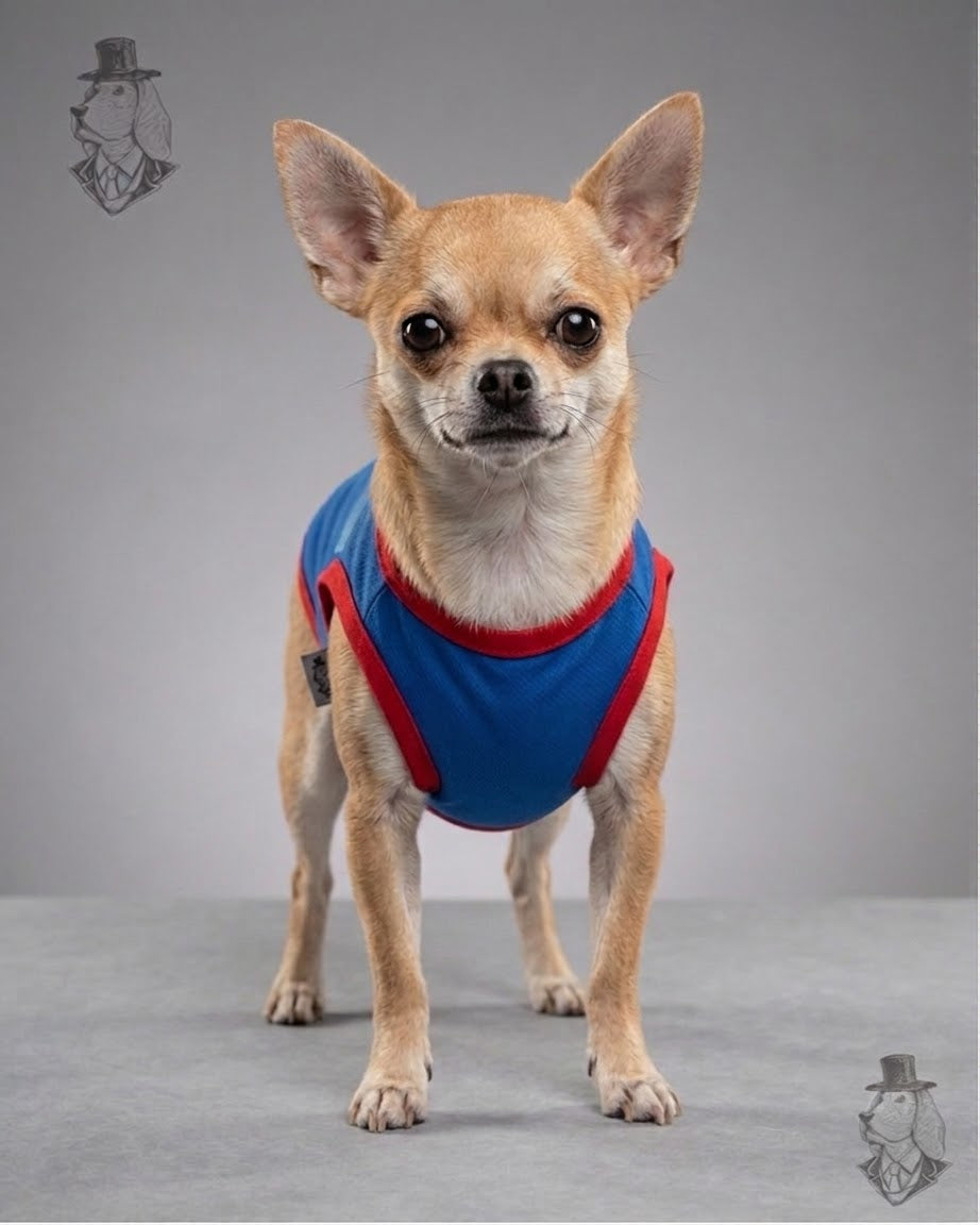 Superman Hero Pup Tank