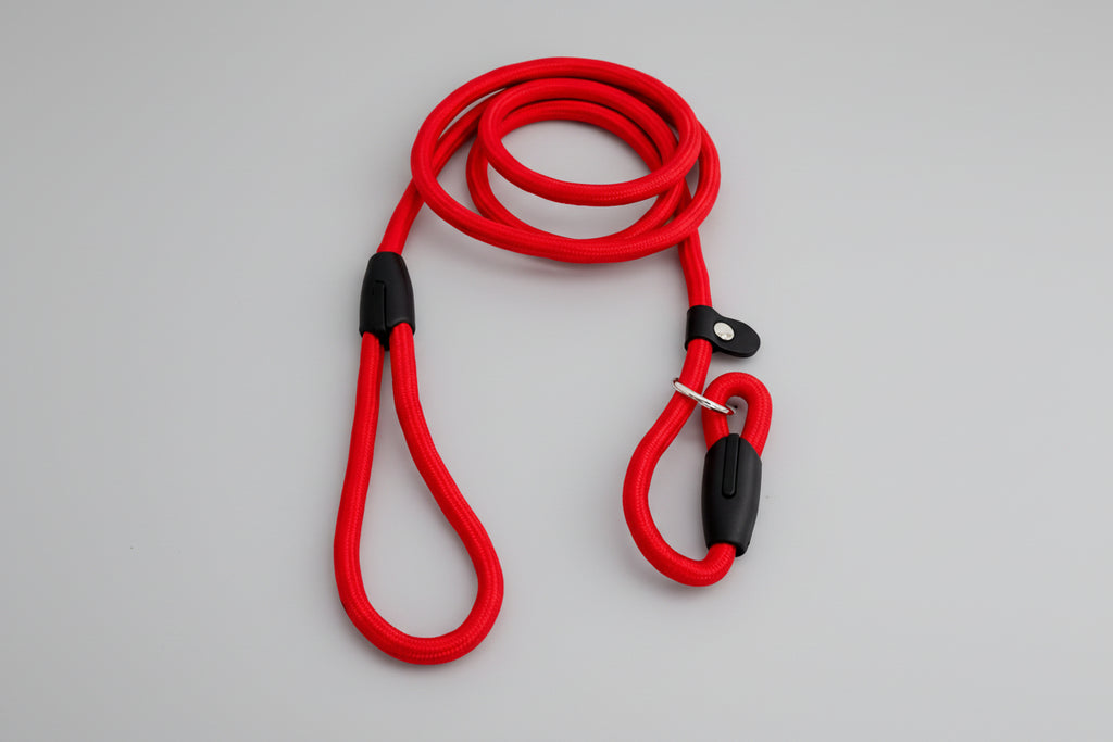 Majesty Pro Training Lead