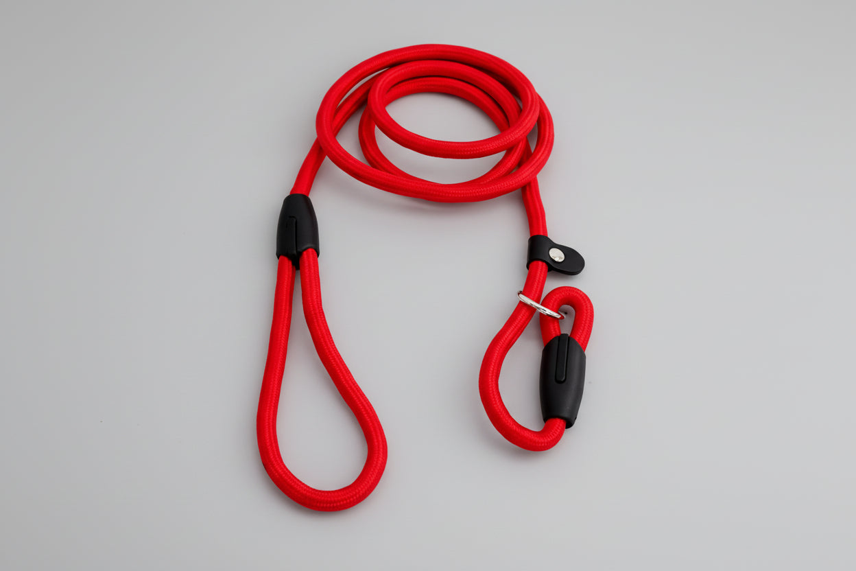 Majesty Pro Training Lead